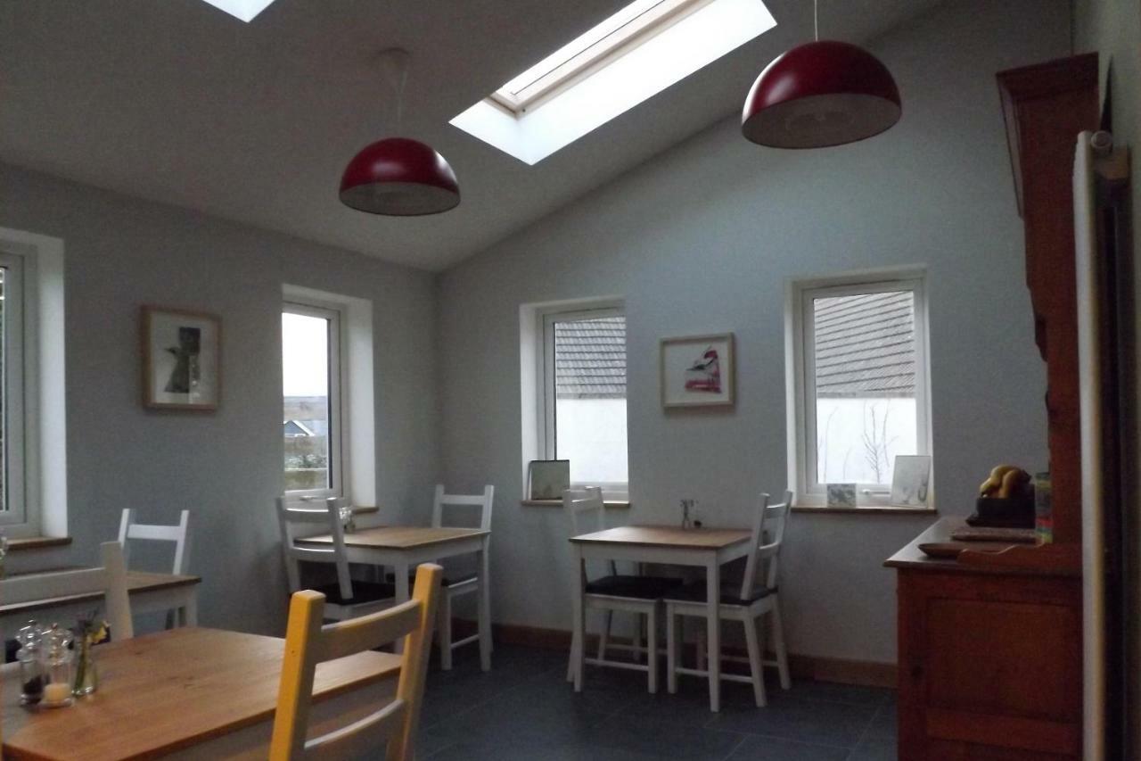 Ty Boia Bed & Breakfast St. Davids  Dış mekan fotoğraf