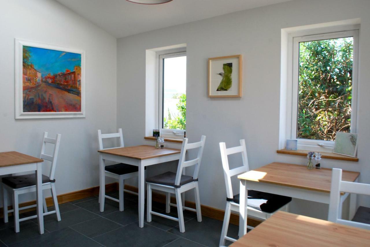 Ty Boia Bed & Breakfast St. Davids  Dış mekan fotoğraf